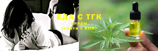 дживик Верхний Тагил