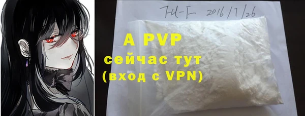 дживик Верхний Тагил