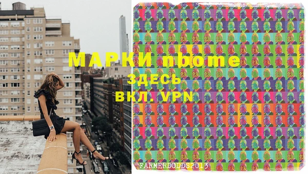 дживик Верхний Тагил