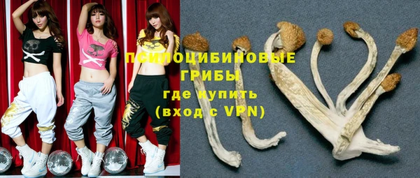 шишки Верхнеуральск