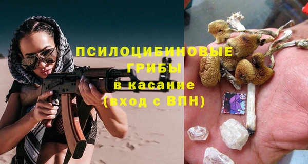 дживик Верхний Тагил