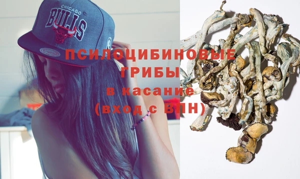 дживик Верхний Тагил